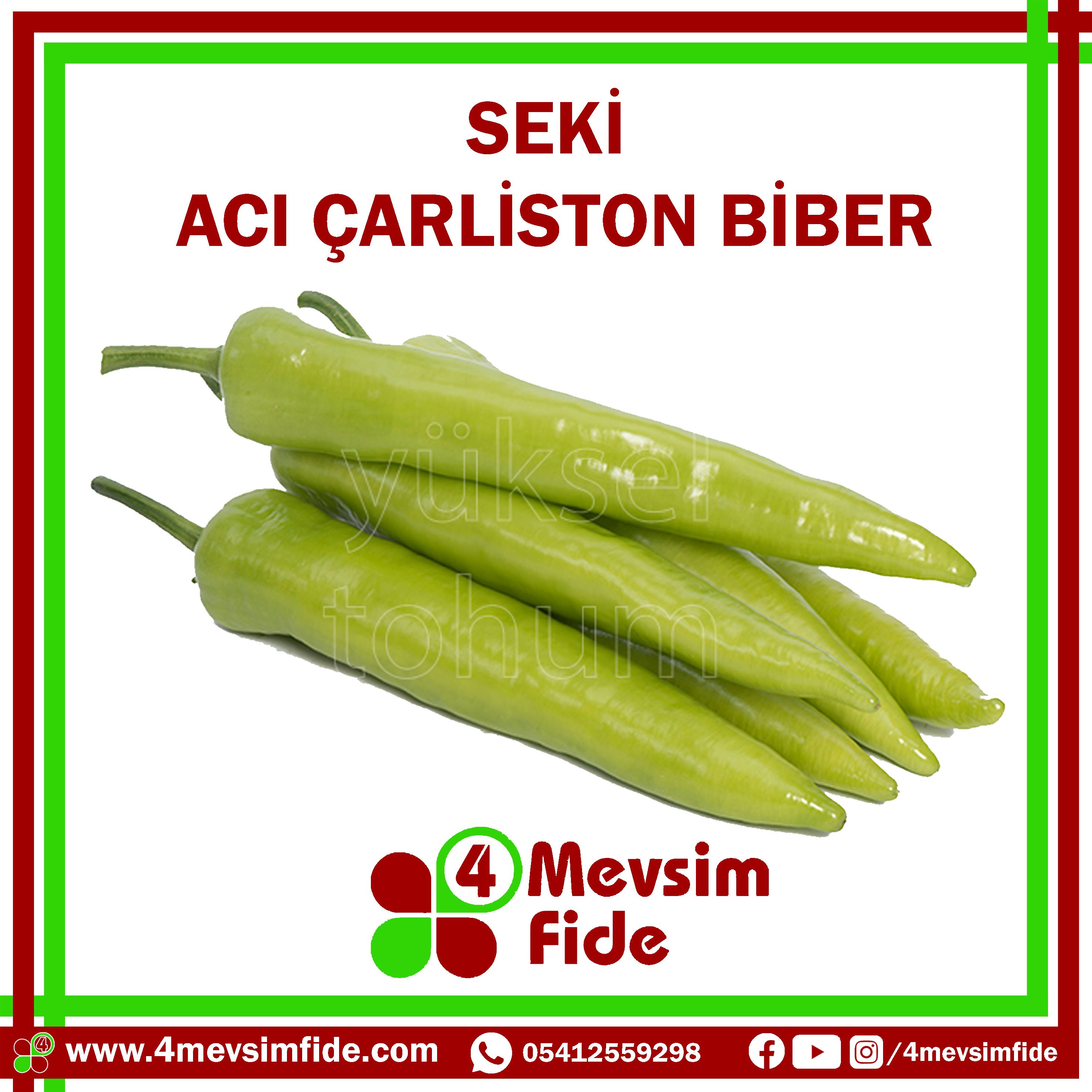 Seki F1 Çarliston